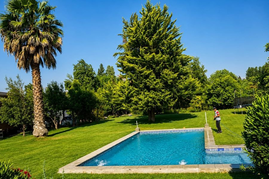 Piscina bajo la palmera, lista para el verano